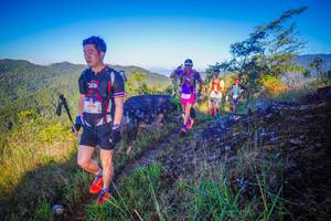 BIB: 1026
                            <button type="button" onclick="openModal(19068231)" class="btn btn-primary btn-sm float-right btn-popup" data-toggle="modal" data-target=".modal-high-quality">
                        <i class="fas fa-shopping-cart"></i> Add to Cart
                    </button>
                                            <button type="button" onclick="isThisMe(19068231, true)" class="btn btn-success btn-sm float-right btn-popup btn-isme hidden" data-toggle="tooltip" data-placement="bottom" title="นี่คือรูปของคุณใช่ไหม คลิกที่นี่เพื่อเอาเข้าอัลบั้ม">
                        <i class="fas fa-plus"></i> Add to album
                    </button>
                    <button type="button" onclick="isThisMe(19068231, false)" class="btn btn-warning btn-sm float-right btn-popup btn-isnotme hidden">
                        <i class="fas fa-ban"></i> Remove from album
                    </button>